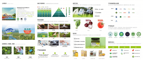 自然之星”“悦丰收”亮相2024深圳农博会麻将胡了模拟器试玩深圳成武金石农业开发携“(图6)