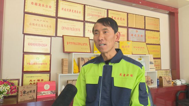 作社：发展有机杂粮系列产品 带动群众增收麻将胡了2模拟器试玩龙鑫种植农民专业合