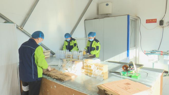 作社：发展有机杂粮系列产品 带动群众增收麻将胡了2模拟器试玩龙鑫种植农民专业合(图3)