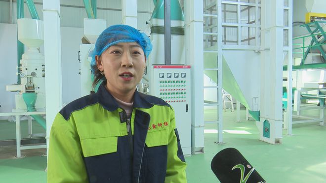 作社：发展有机杂粮系列产品 带动群众增收麻将胡了2模拟器试玩龙鑫种植农民专业合(图2)