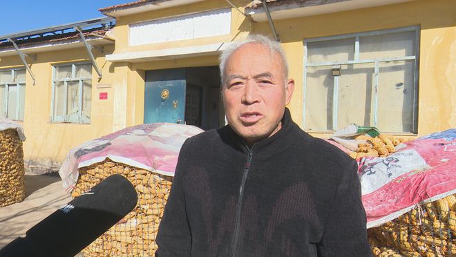 作社：发展有机杂粮系列产品 带动群众增收麻将胡了2模拟器试玩龙鑫种植农民专业合(图6)