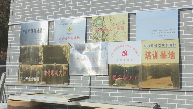 作社：发展有机杂粮系列产品 带动群众增收麻将胡了2模拟器试玩龙鑫种植农民专业合(图7)
