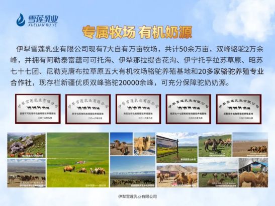 这家新疆特乳企业再获国家双有机认证PG麻将胡了2追本溯源 见证品质(图2)